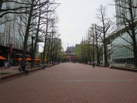 IMG 8575