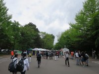 IMG 9195