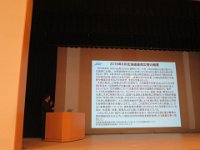 IMG 9238