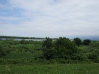 IMG 9293