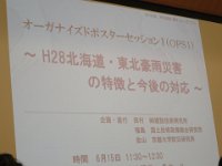IMG 9438