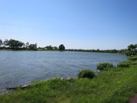 IMG 9524