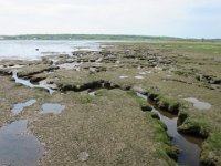 IMG 0015