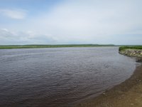 IMG 0016