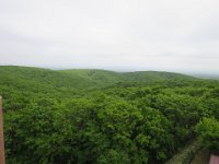 IMG 9608