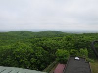 IMG 9610