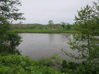IMG 9645