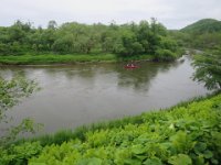 IMG 9649