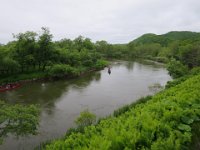 IMG 9654