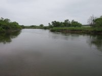 IMG 9680