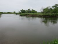 IMG 9681