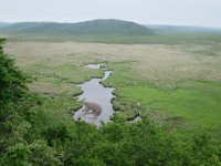 IMG 9688