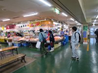 IMG 9705