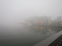 IMG 9721