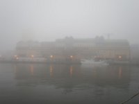 IMG 9725