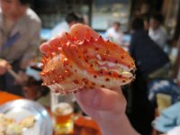 IMG 9754