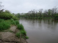 IMG 9829