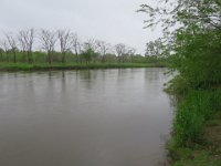 IMG 9831