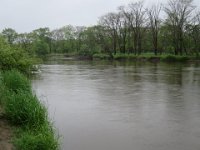 IMG 9832