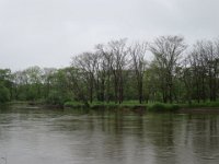 IMG 9834