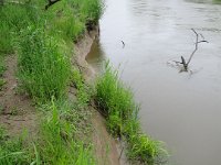 IMG 9841