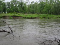 IMG 9842