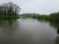 IMG 9850