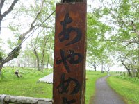 IMG 9876