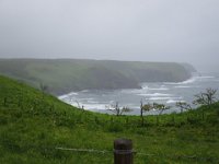 IMG 9877