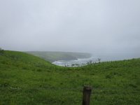 IMG 9884