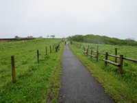 IMG 9886