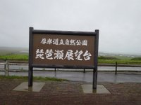 IMG 9887