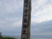 IMG 9939