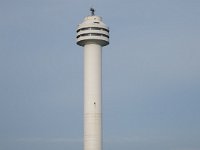 IMG 9951