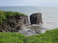 IMG 9956