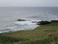 IMG 9957