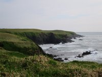 IMG 9960