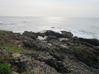 IMG 9964