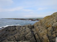 IMG 9969