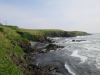IMG 9976