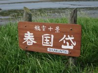 IMG 9985