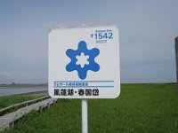 IMG 9986