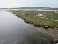 IMG 9989
