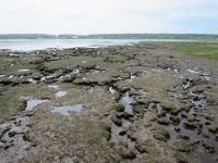 IMG 9996