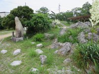 IMG 0070