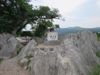 IMG 0079