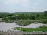 IMG 0080