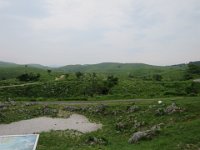 IMG 0081