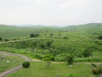 IMG 0082
