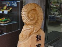 IMG 0087